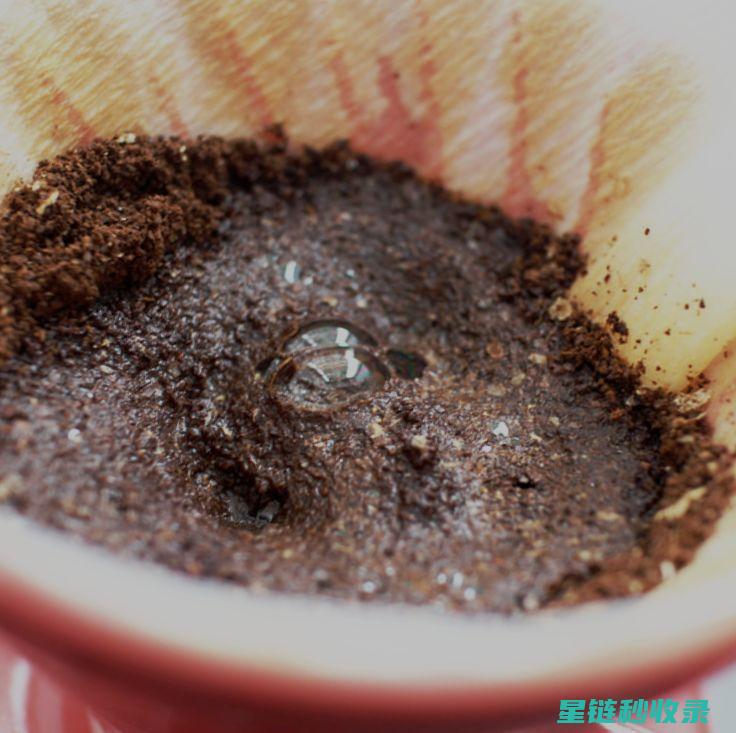 用咖啡渣制作天然驱虫剂的秘密 (用咖啡渣制作洗发水)